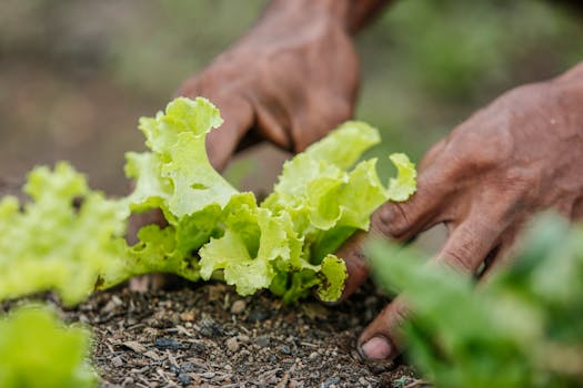 Fundo para Microprojetos em Cabo Verde - Embaixada Alemanha