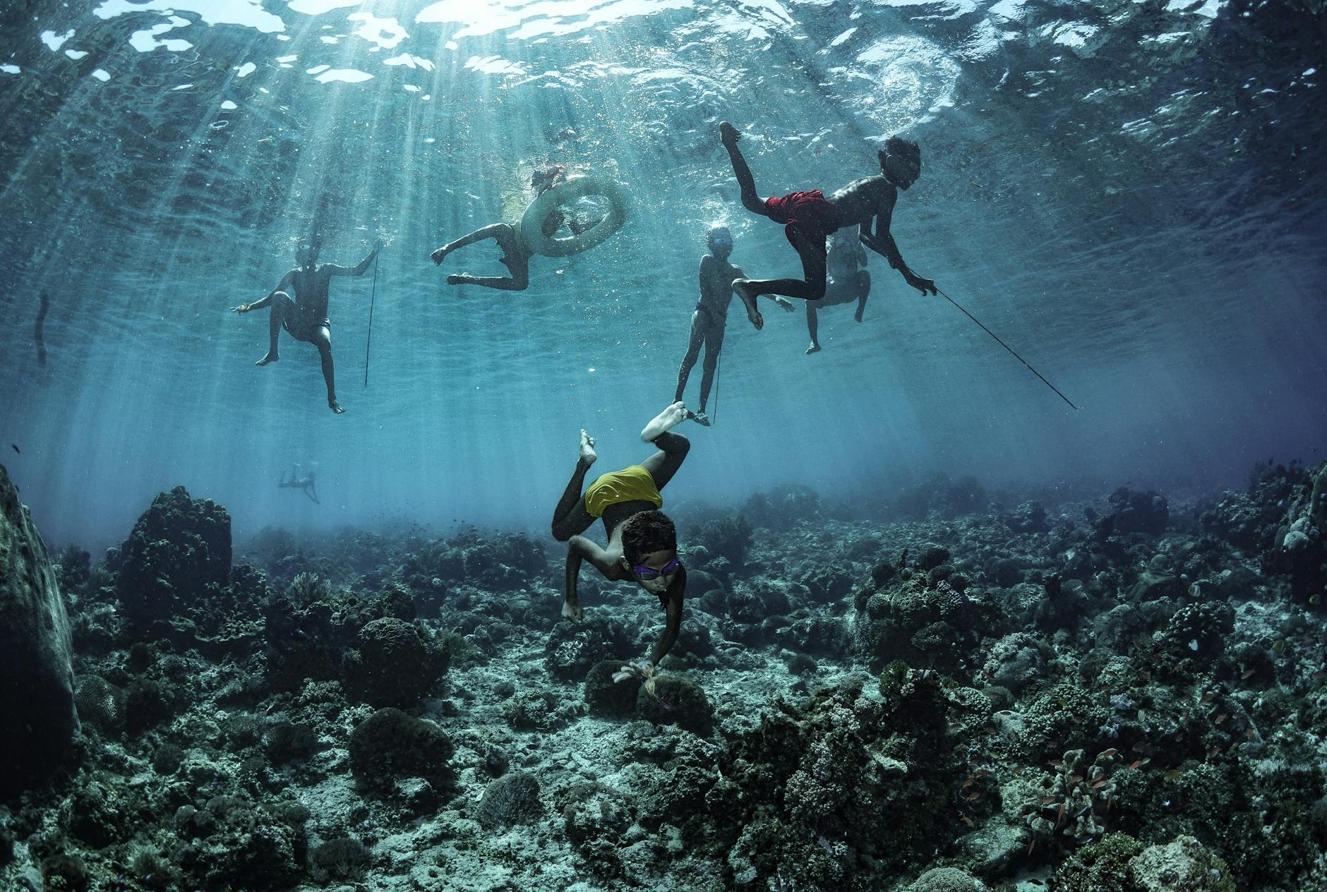 people doing a freediving underwater