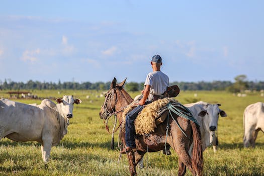Prêmios Mundiais de Sustentabilidade UNIDO ONE 2025