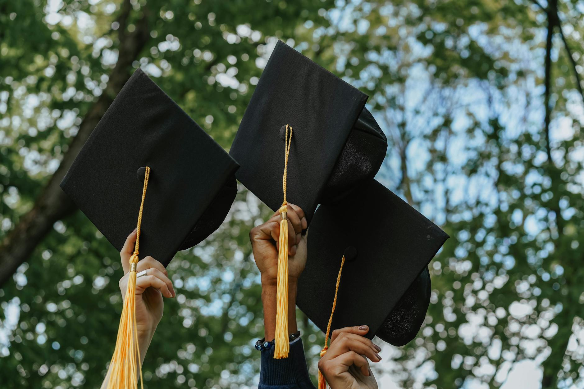 a group of person holding graduation cap