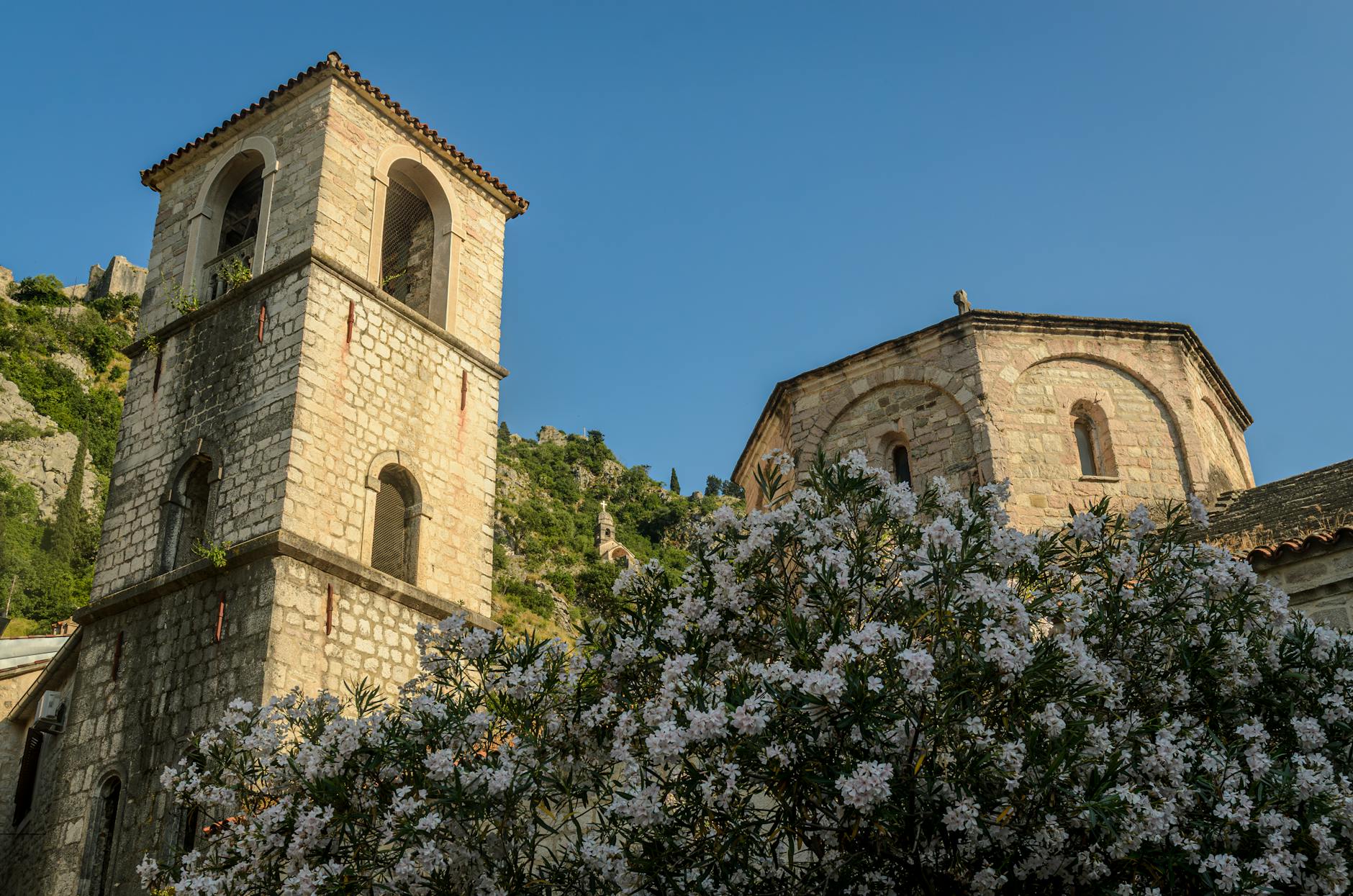 historic church tower in kotor montenegro