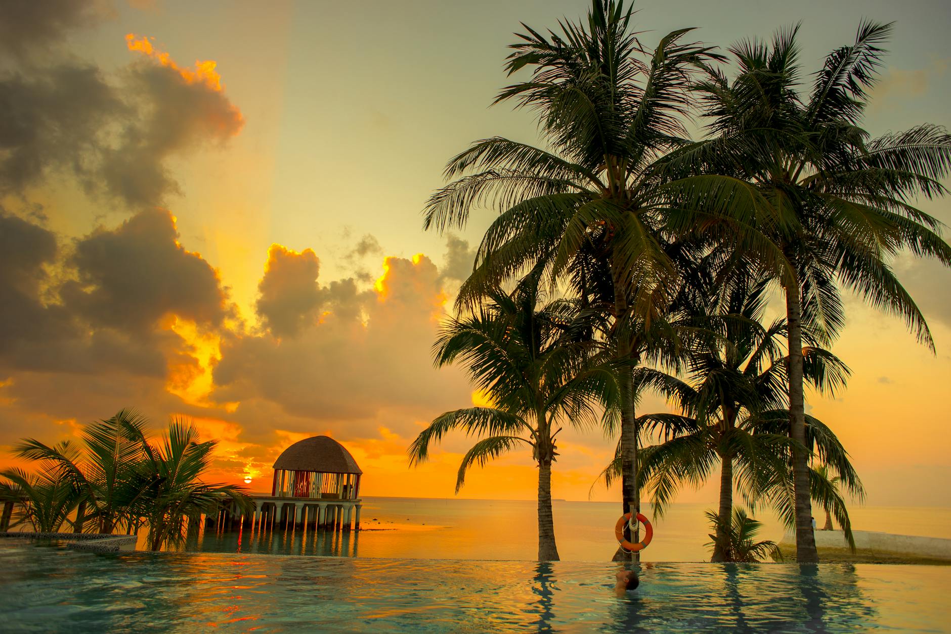 palm trees near body of water during sunset
