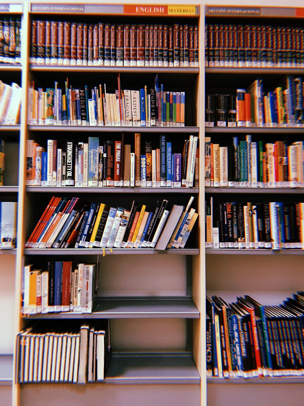 bookshelves filled with books
