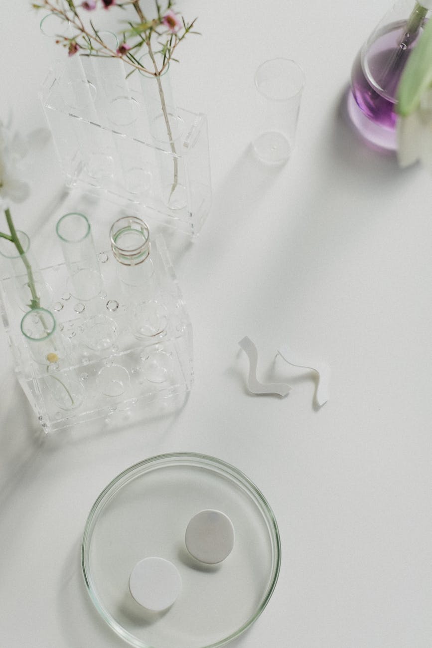 flowers and glass laboratory equipment on white surface