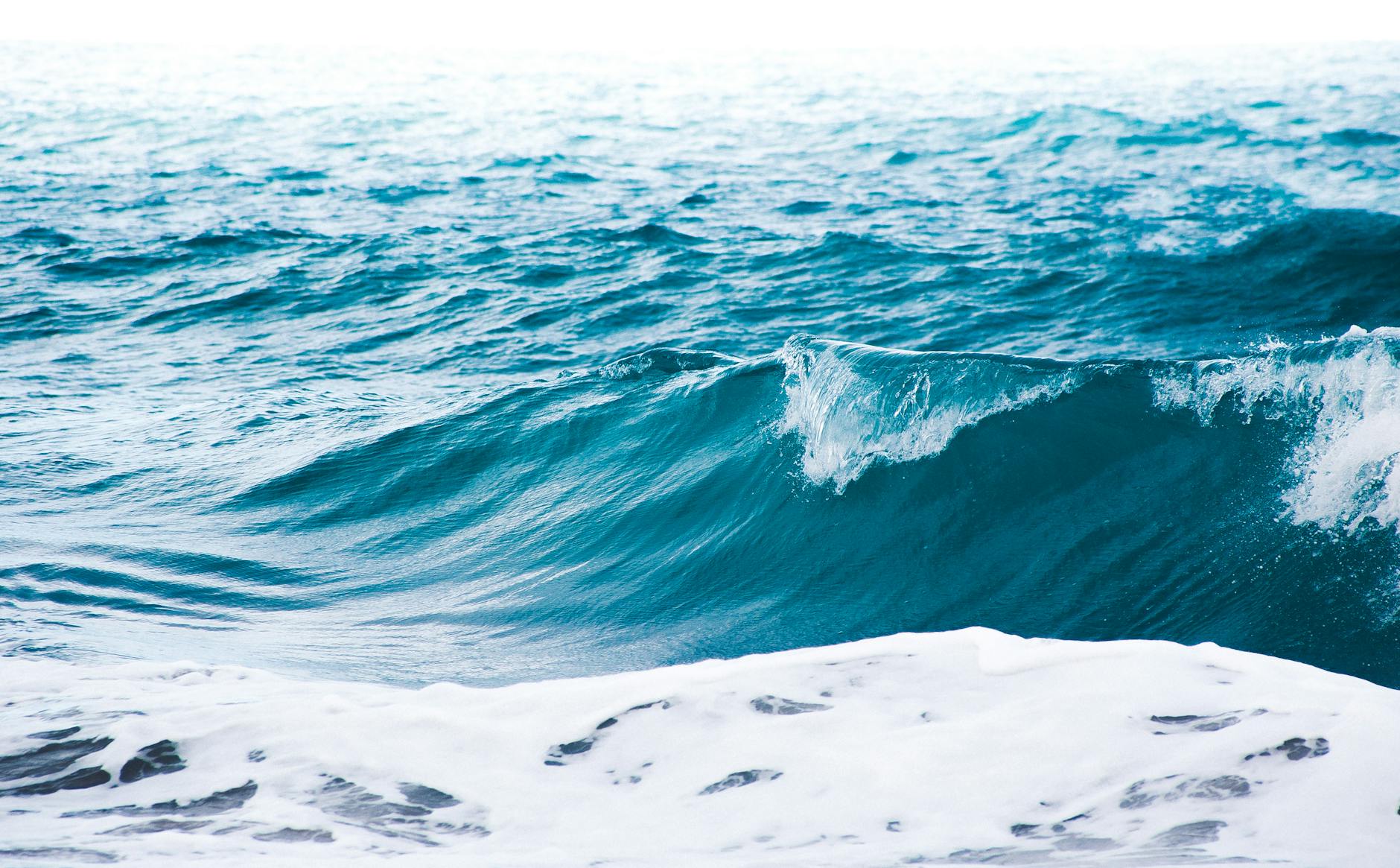 photo of an ocean waves