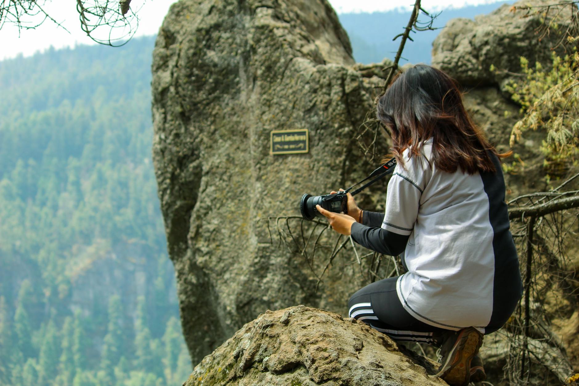 photographer capturing nature in mexican forest