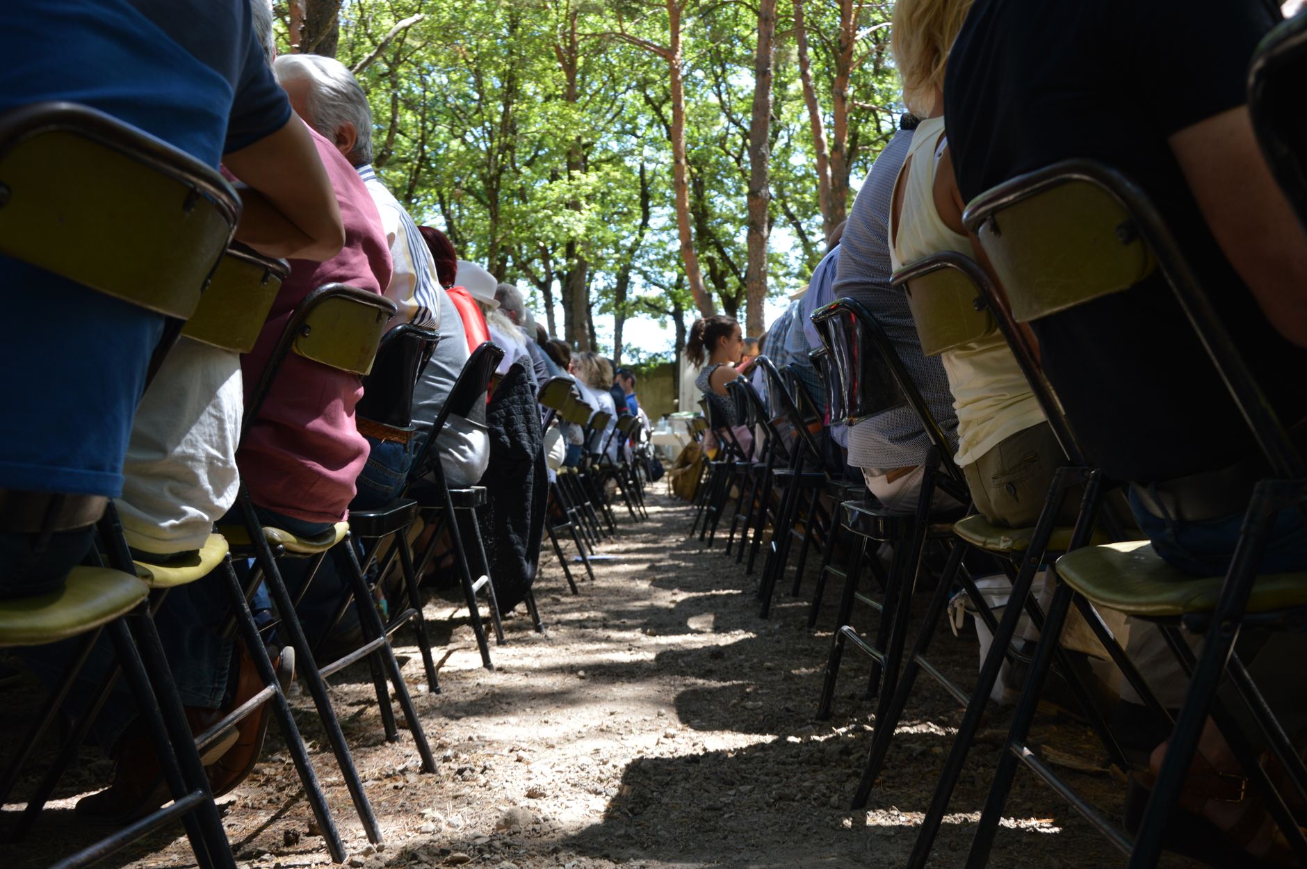 People seated outdoors under trees in rows, captured in warm sunlight.