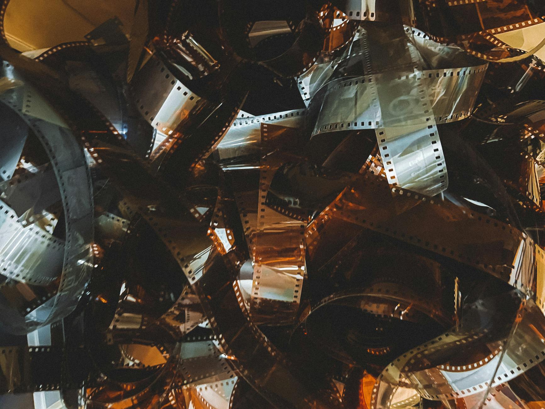 tangled camera films