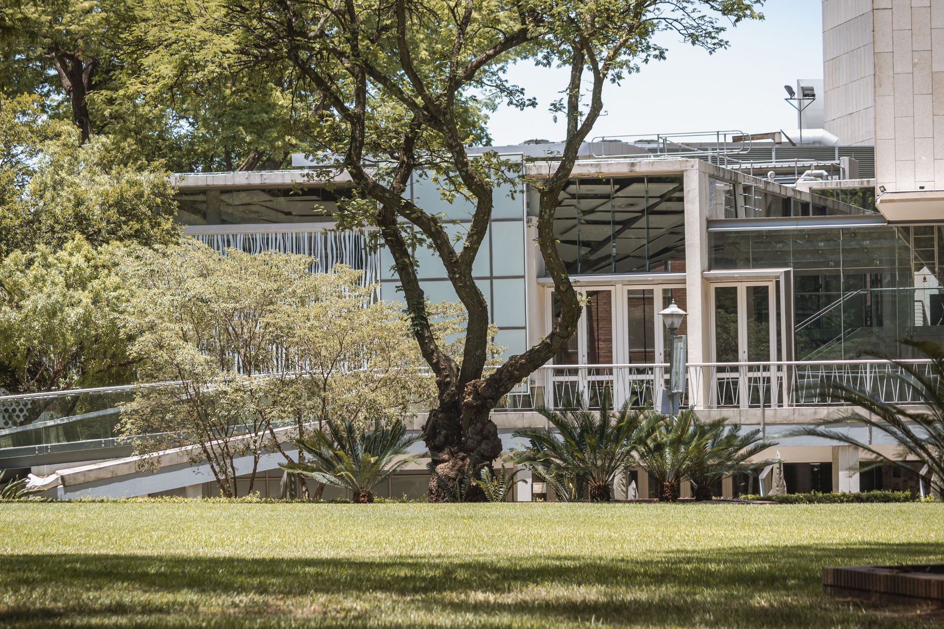 Contemporary glass architecture with surrounding greenery, captured on a bright day.