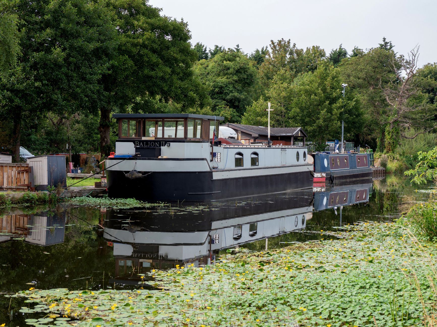 Tranquil scene of canal boats on the leafy Leeds-Liverpool canal, perfect for nature lovers.