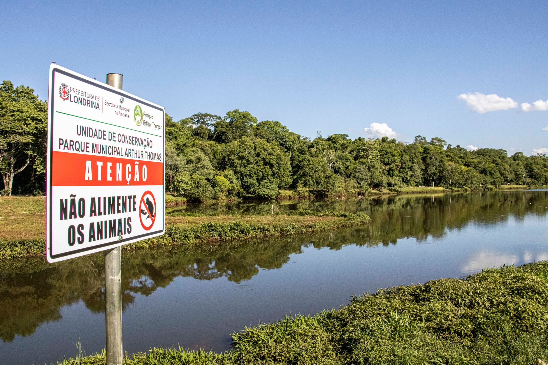 A tranquil view of Parque Municipal Arthur Thomas in Londrina with a caution sign by the waterside.