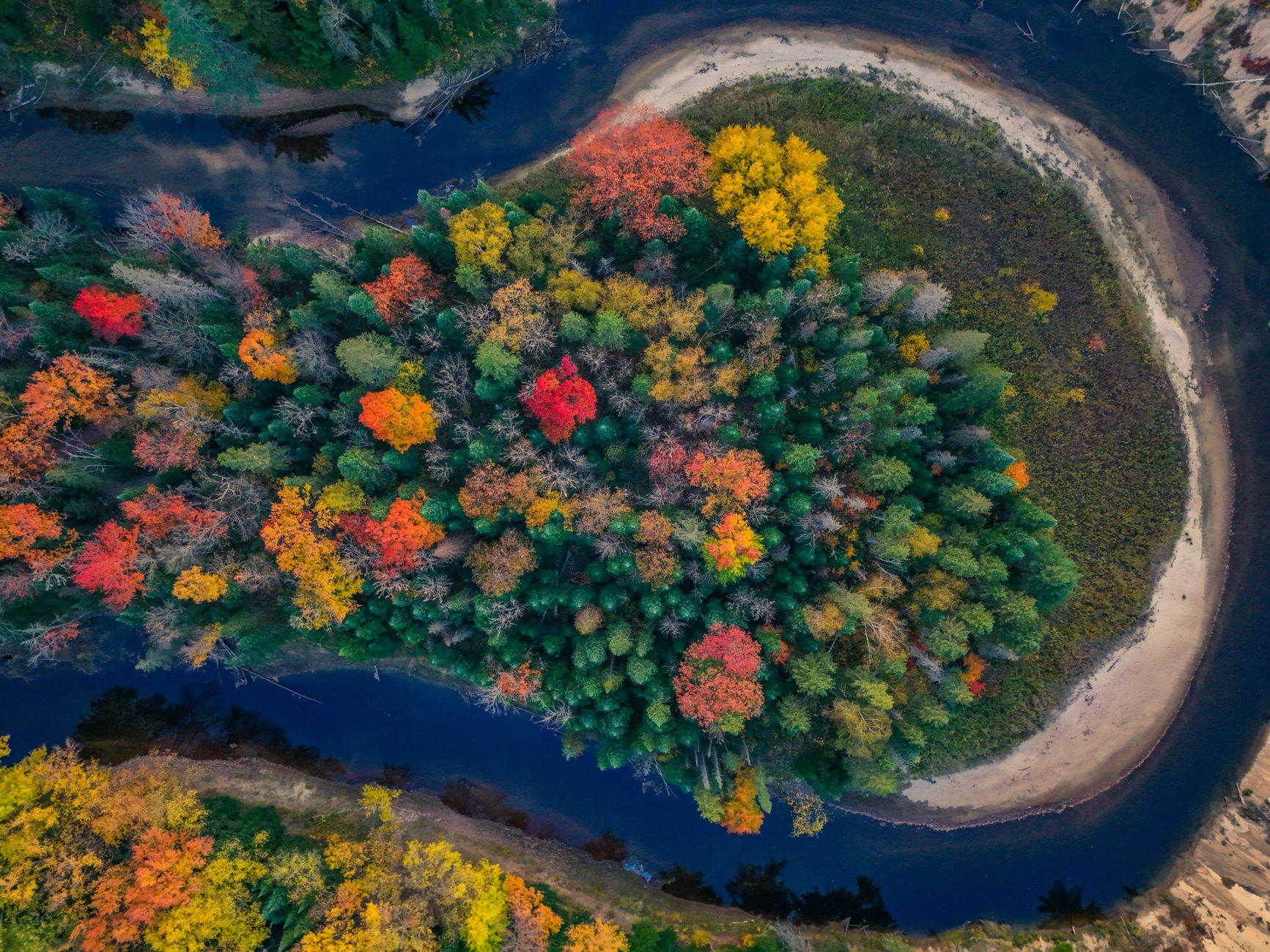 Explore the vivid colors of a secluded island forest in autumn, captured from above.