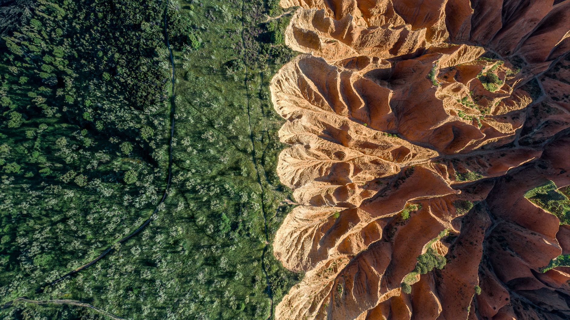 A breathtaking aerial shot of an eroded landscape contrasting with lush greenery.