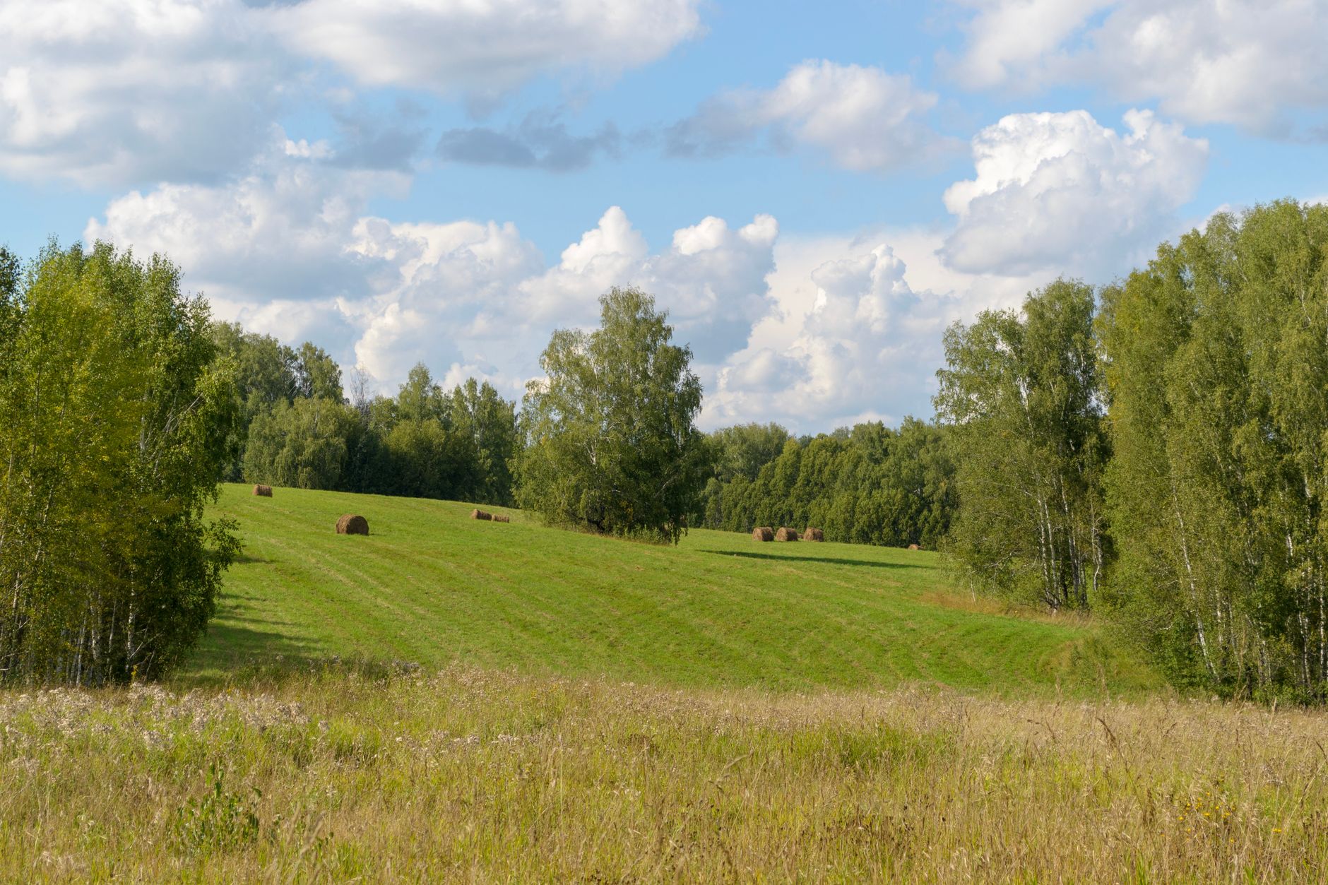 Peaceful Swedish landscape with hay bales, lush green fields, and fluffy clouds under a clear sky.